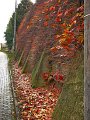 IMG_5543 (2)